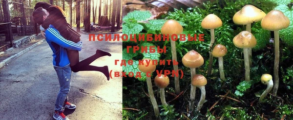 каннабис Заречный