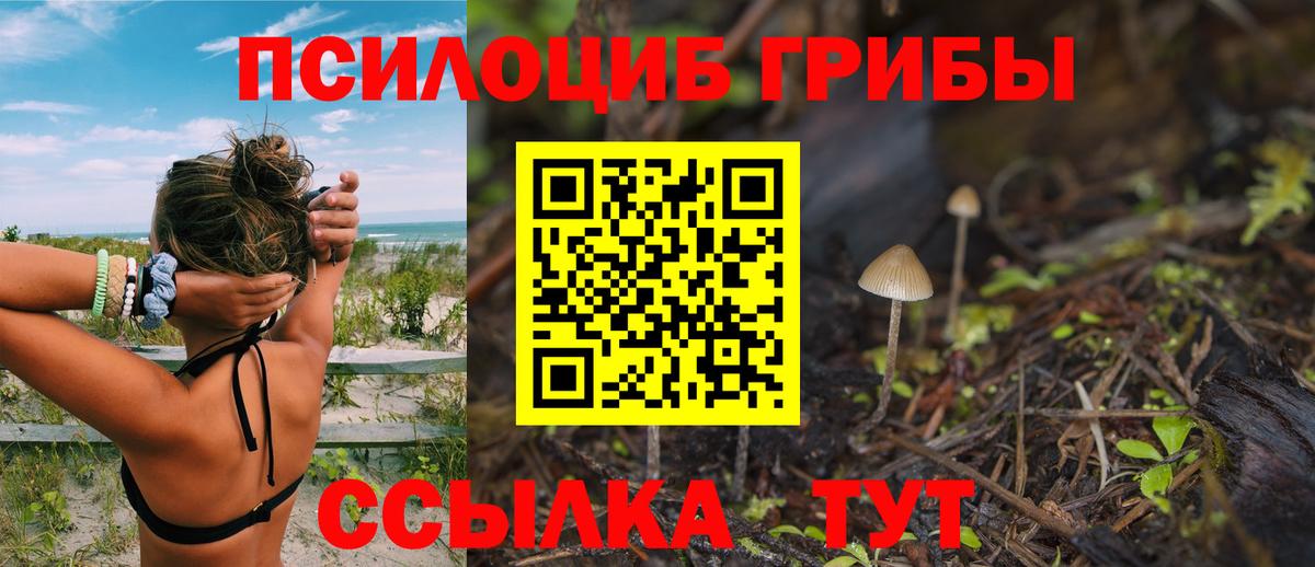 Псилоцибиновые грибы Magic Shrooms  Вход с VPN  Ртищево  Галлюциногенные грибы Magic Shrooms 